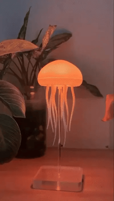 Jellyfish Lamp