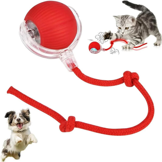 Interactive Pet Rolling Ball