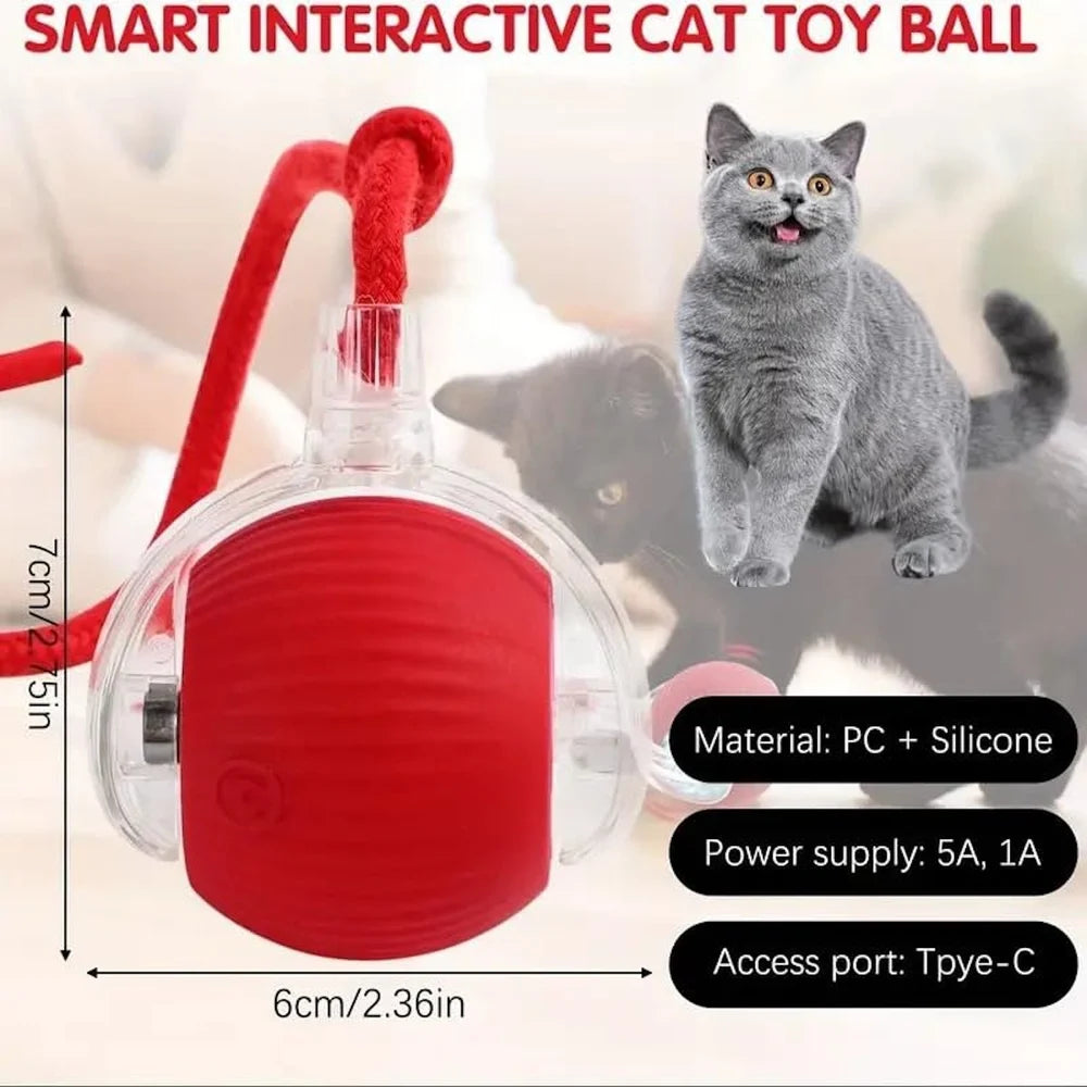 Interactive Pet Rolling Ball