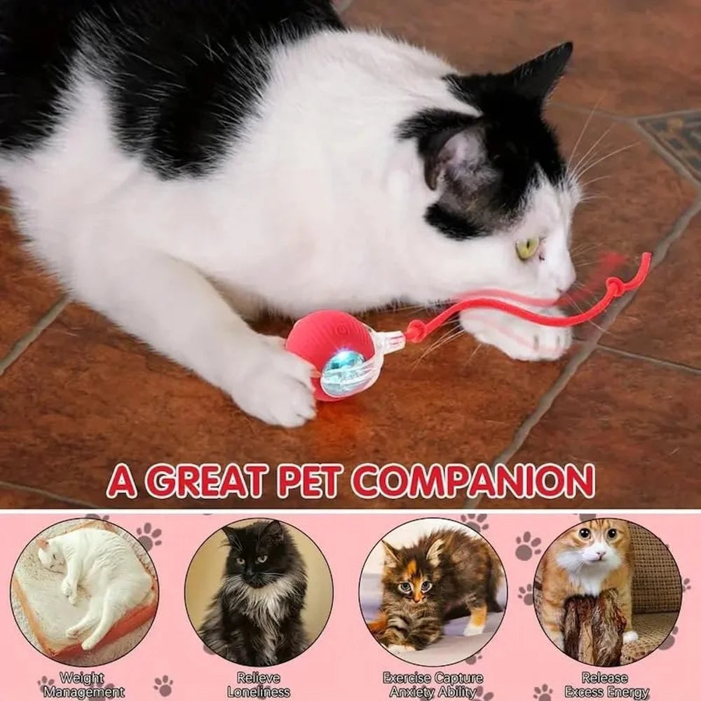 Interactive Pet Rolling Ball