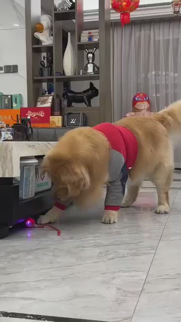 Interactive Pet Rolling Ball
